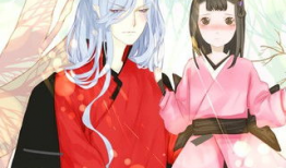 漫漫动漫,漫漫动漫之旅