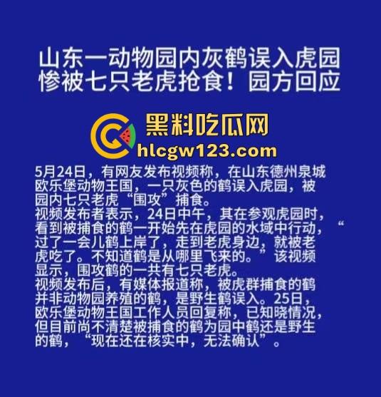 山东德州欧乐堡惊现一只大鹤误入虎区，七虎围成战术扇形现场1V7，最后成了热菜！-1
